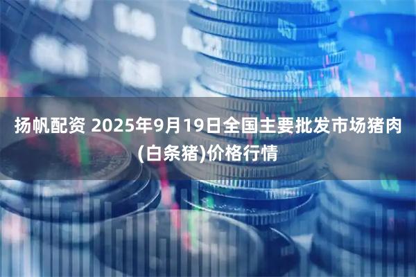 扬帆配资 2025年9月19日全国主要批发市场猪肉(白条猪)价格行情