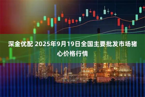 深金优配 2025年9月19日全国主要批发市场猪心价格行情