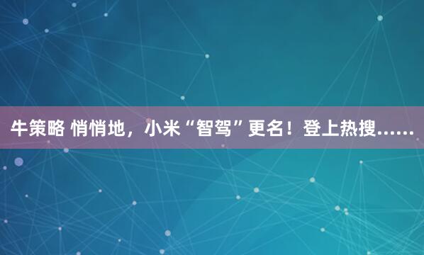 牛策略 悄悄地，小米“智驾”更名！登上热搜......