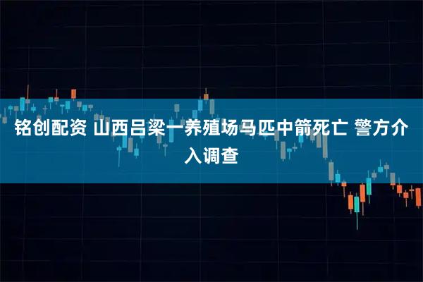 铭创配资 山西吕梁一养殖场马匹中箭死亡 警方介入调查