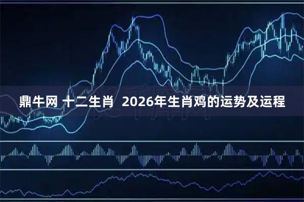 鼎牛网 十二生肖  2026年生肖鸡的运势及运程