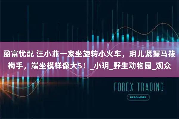 盈富忧配 汪小菲一家坐旋转小火车，玥儿紧握马筱梅手，端坐模样像大S！_小玥_野生动物园_观众